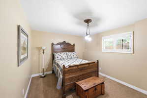Carpeted room with a ceiling-mounted light fixture and a window featuring white plantation shutters