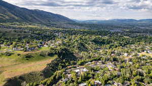 Expansive aerial perspective showcasing a verdant valley setting with a dense tree canopy