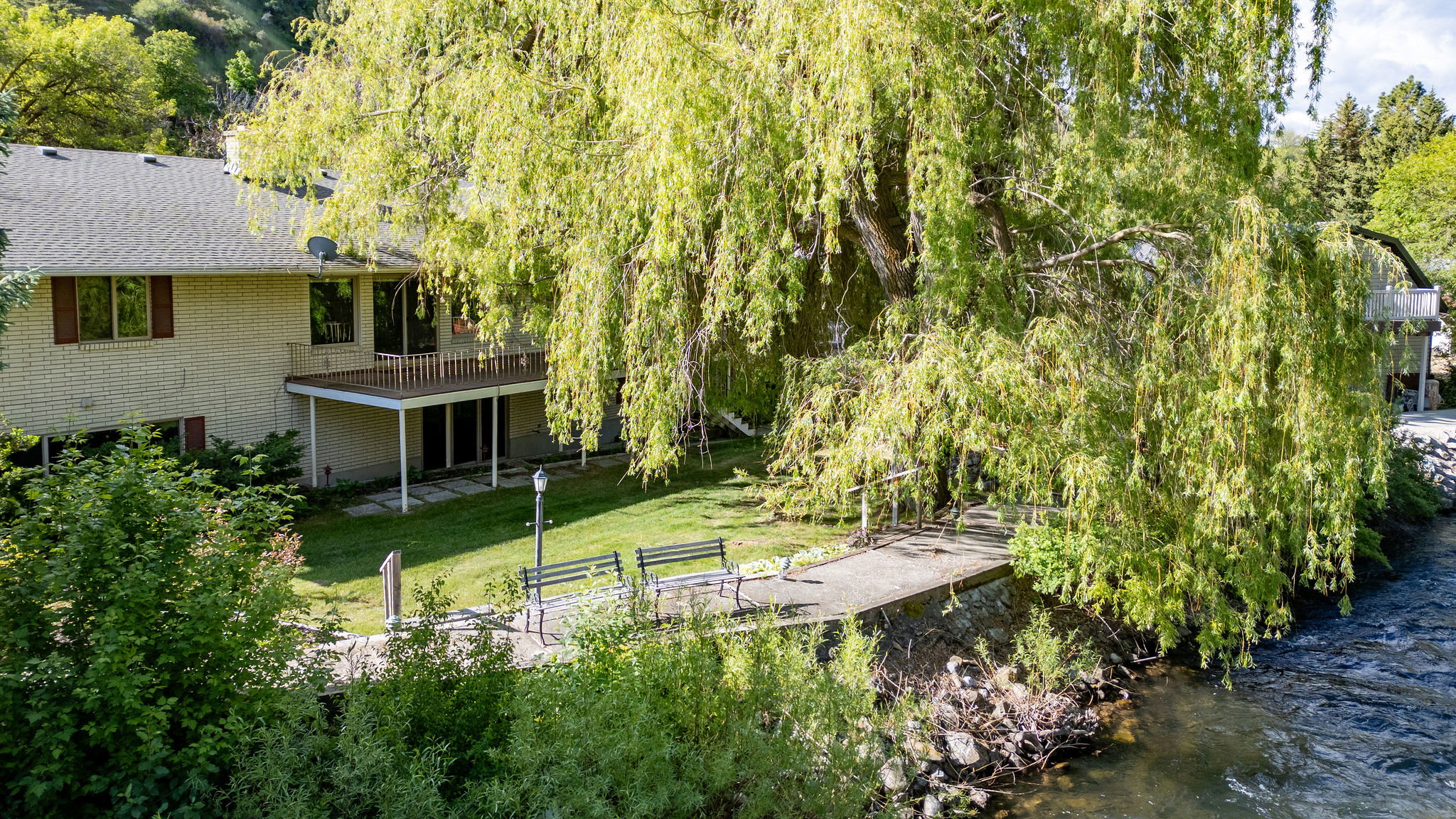 Expansive green lawn with mature weeping willow tree