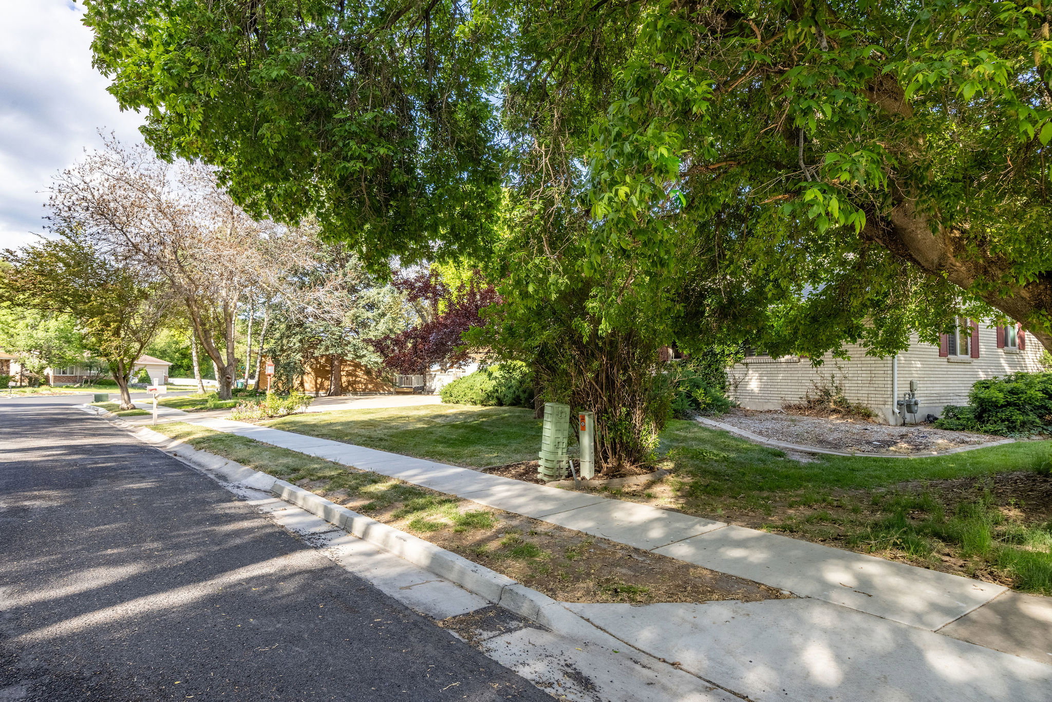 Mature trees frame the front yard and a portion of the white brick exterior