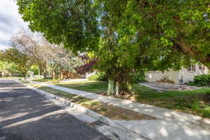 Mature trees frame the front yard and a portion of the white brick exterior