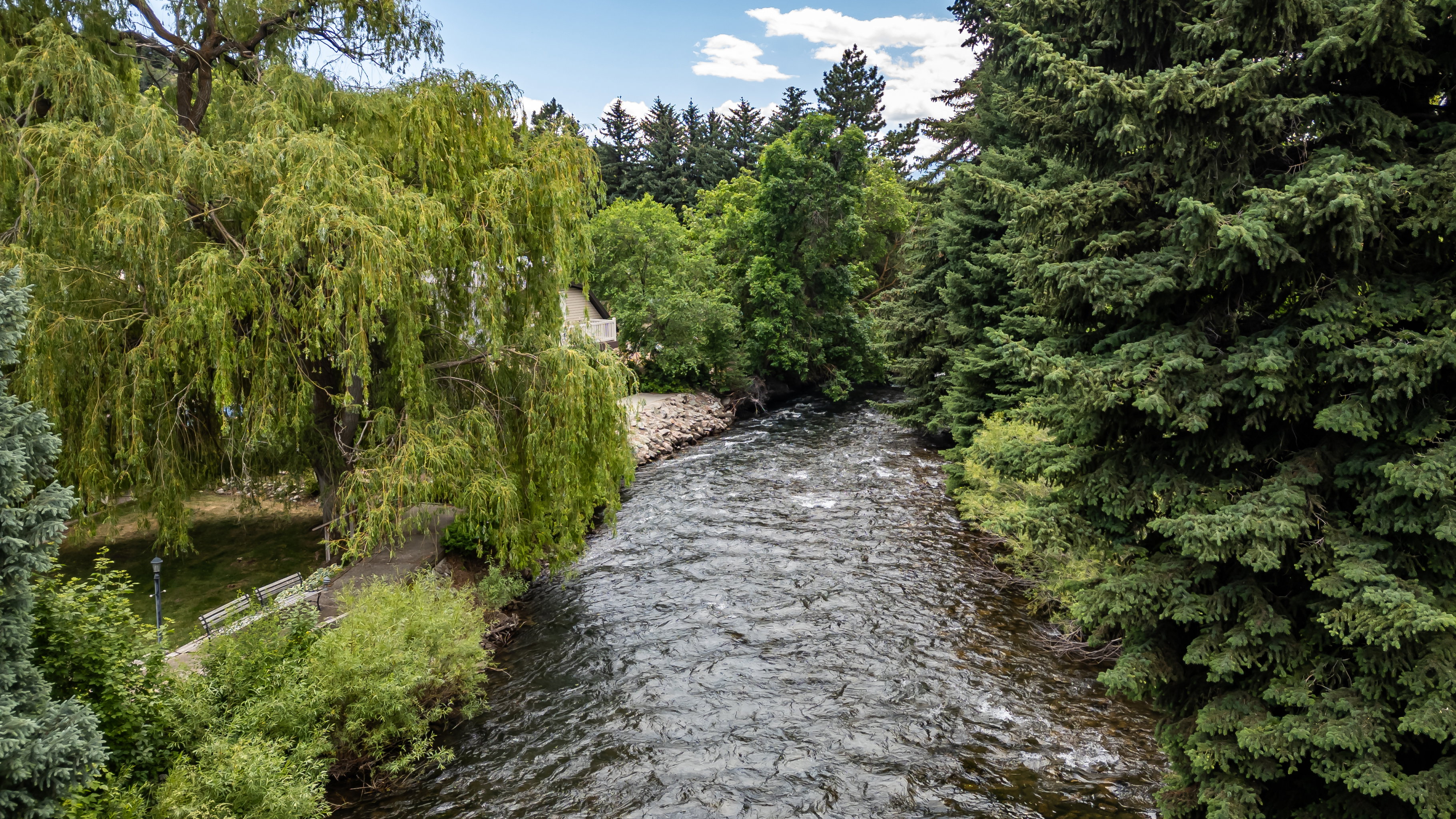 Flowing river bordered by lush, mature trees and a manicured bank
