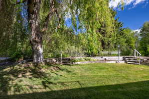 Expansive grassy lawn with a mature tree providing natural shade