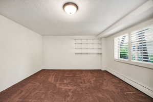 Spacious room with plush brown carpeting, integrated wall shelving, two windows featuring white plantation shutters, and a ceiling-mounted light fixture