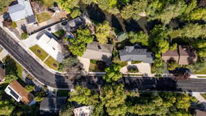 Aerial view of a residential neighborhood featuring established homes and abundant mature trees