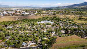 Expansive aerial perspective showcasing a verdant residential area with mature tree coverage