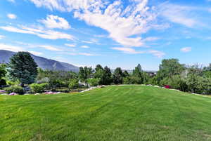 Expansive lawn area with a mountain backdrop, mature trees, and landscaped borders