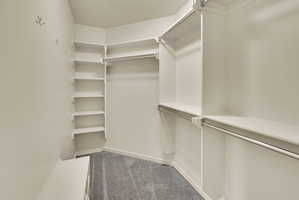 Walk-in closet featuring built-in shelving, multiple hanging rods, and grey carpeting