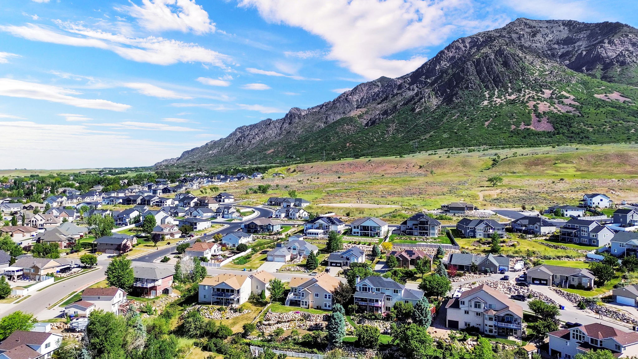 Residential community featuring a variety of home styles and established landscaping