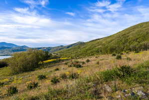 Sloping hillside lot featuring varied vegetation, prominent hills, distant body of water, and broad sky