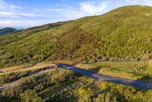 Mountain property featuring a sloped lot, established trees, and paved road frontage