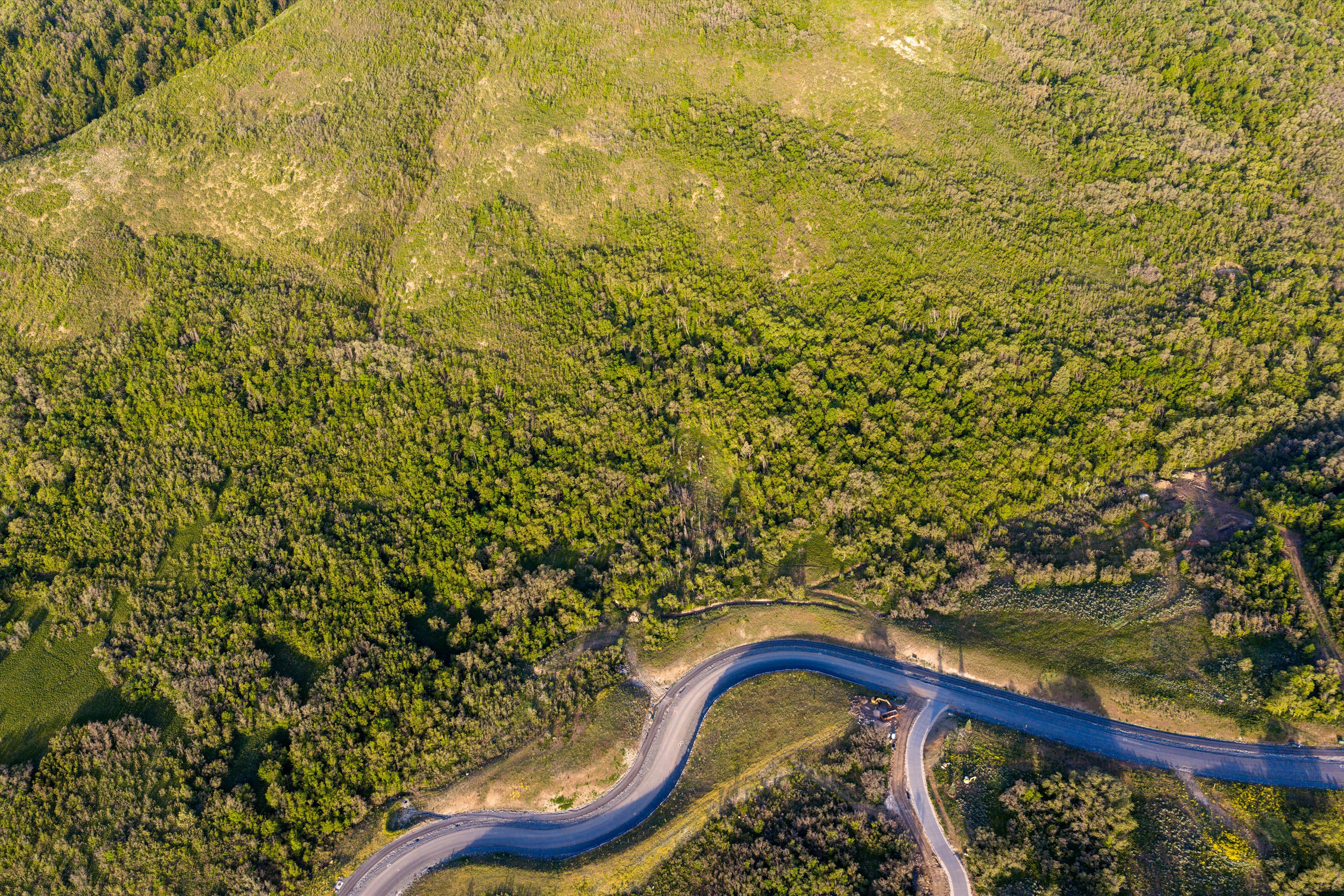 Winding asphalt roads traversing verdant, undulating terrain with dense tree cover