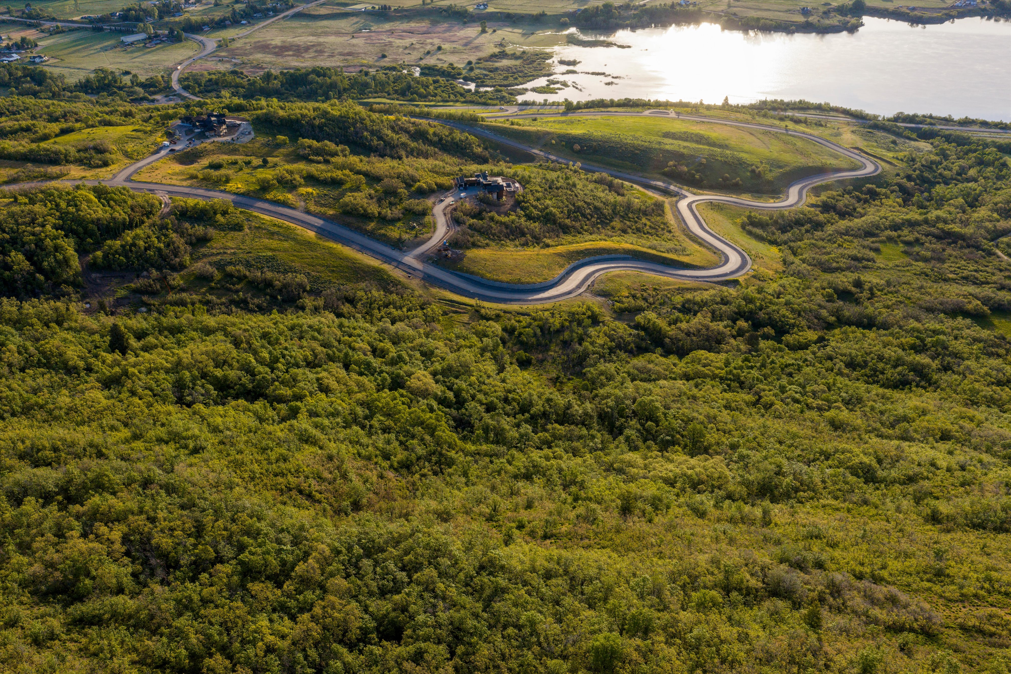 Winding paved road traversing rolling hills with surrounding green foliage and distant water