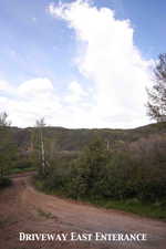 Image quality insufficient for description