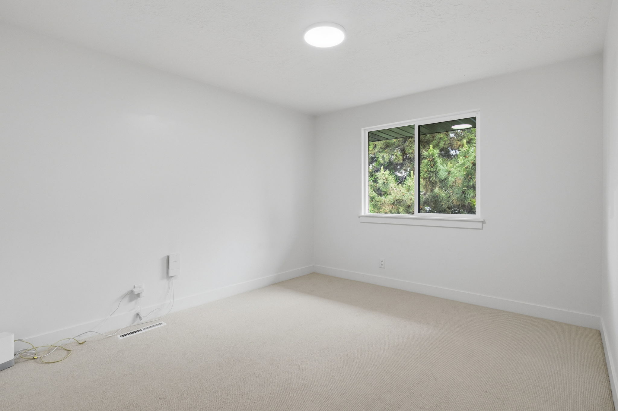 Neutral-toned carpeting extends throughout this room, featuring a white window frame with a multi-pane window