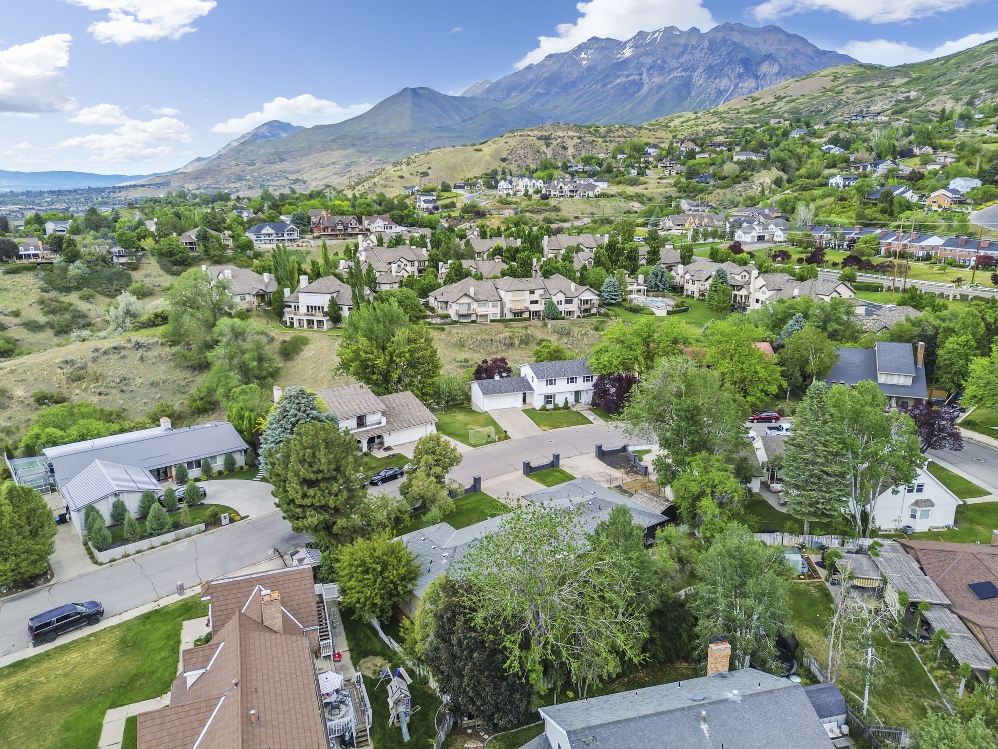 Residential neighborhood featuring varied architectural styles and mature landscaping, with a prominent mountain backdrop