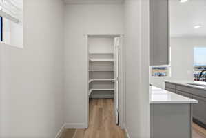 **Disclaimer**  Interior package may vary. Walk-in pantry featuring multiple shelves and wood-finish flooring