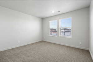 **Disclaimer**  Interior package may vary. Carpeted room featuring two windows with horizontal blinds, light gray walls, white trim, and a ceiling light fixture