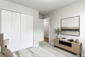Two bi-fold closet doors with panel detailing