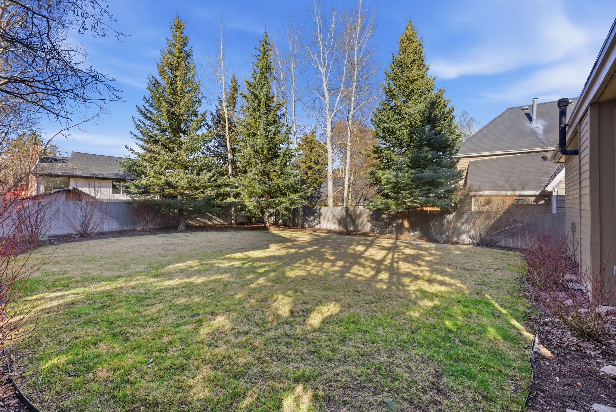 Expansive backyard featuring a natural grass lawn, mature evergreen trees, and a wood fence