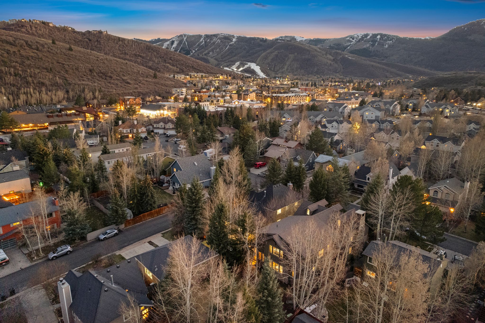 Expansive community featuring diverse residential architecture, mature tree-lined streets, and distant snow-capped mountains