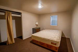 Bedroom featuring a built-in closet with curtain, neutral wall finishes, carpeted flooring, a window with blinds, and a ceiling-mounted light fixture