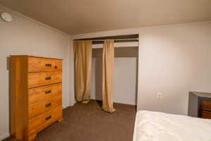 Carpeted interior space featuring a recessed closet opening, a ceiling-mounted light fixture, and horizontal wall paneling