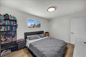 Bedroom featuring wood-finish flooring, a white interior door with contemporary hardware, a flush-mount ceiling light fixture, and a window with a white frame