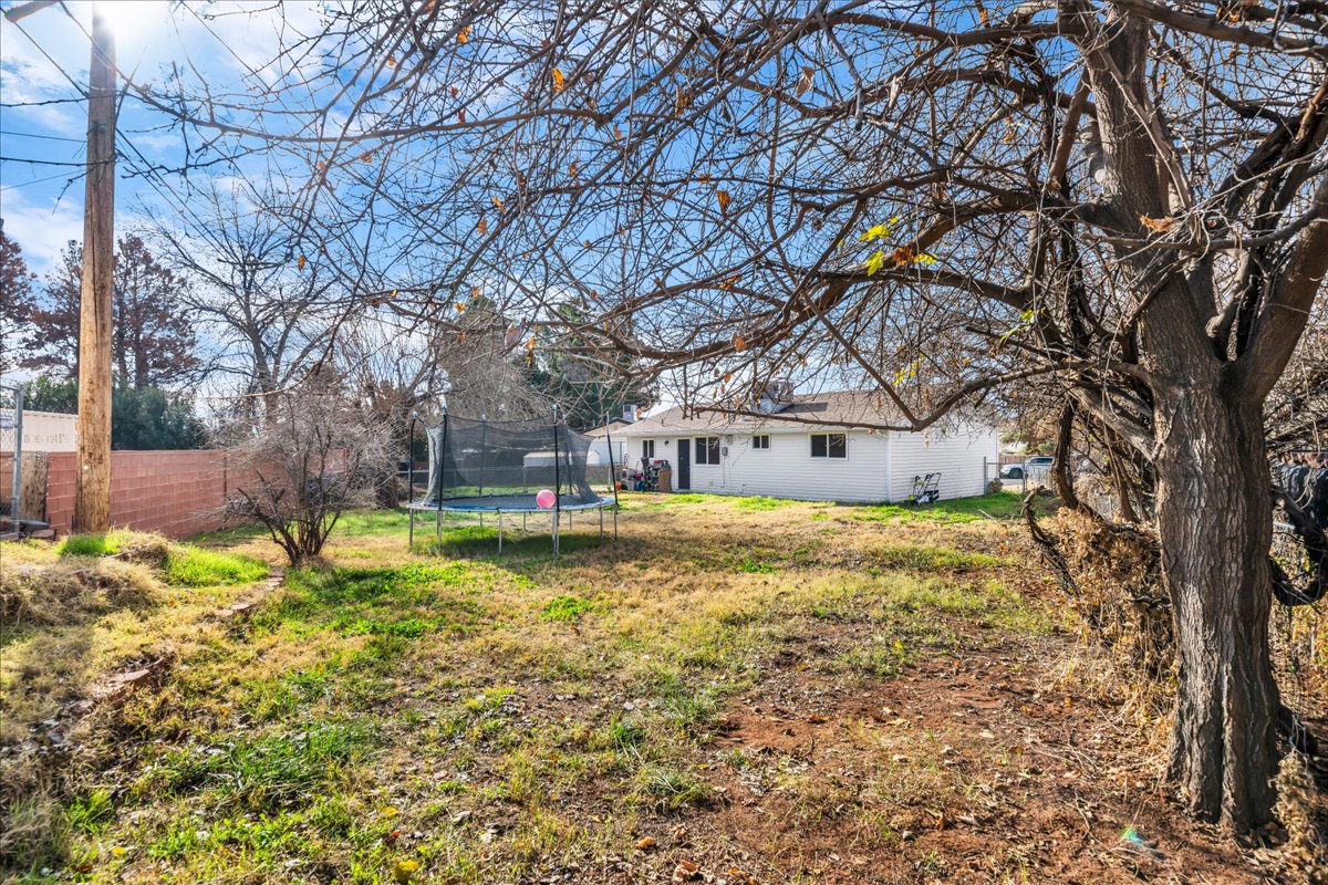 Expansive backyard featuring a mature tree, natural ground cover, and a partial brick perimeter wall