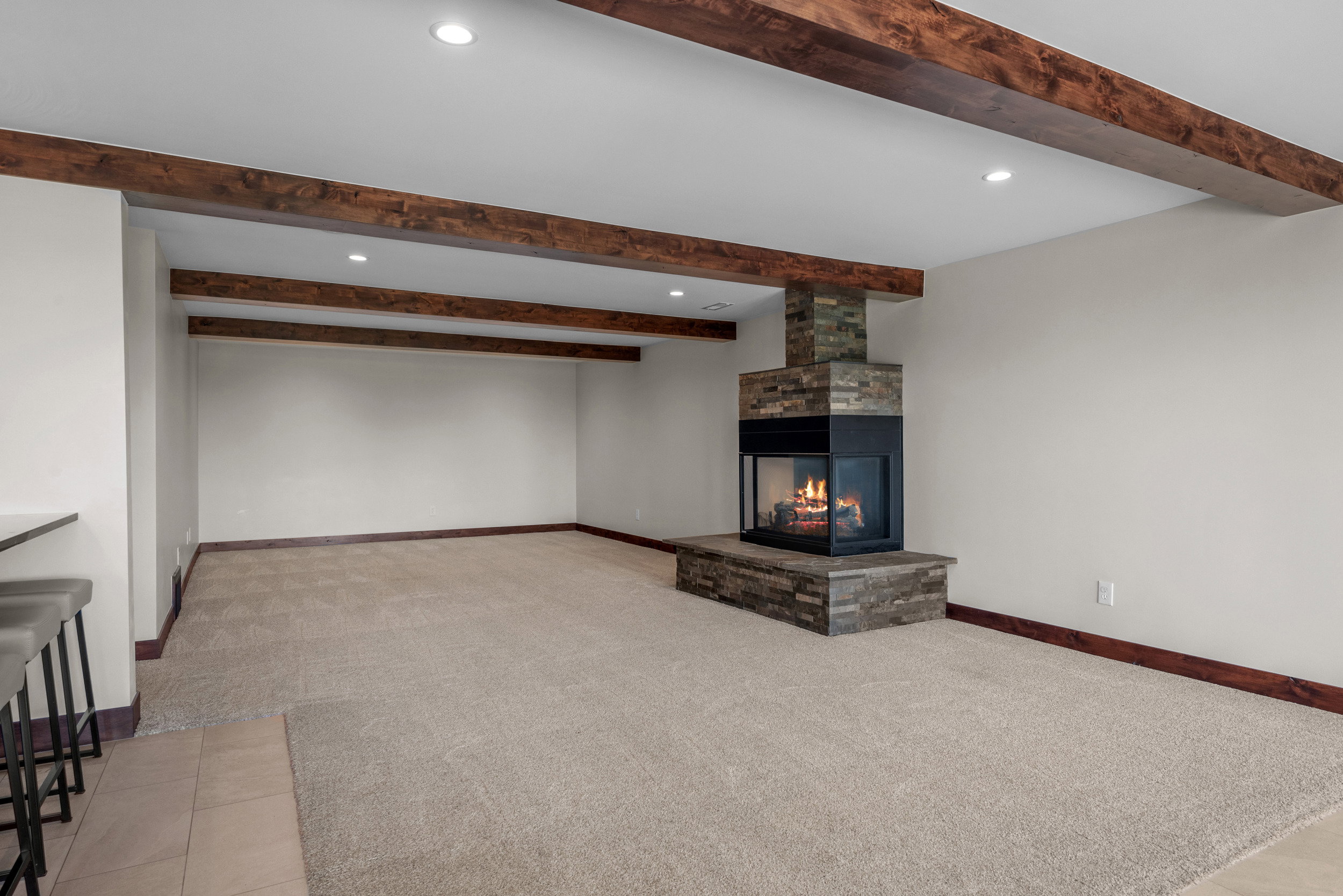 Basement Living Room