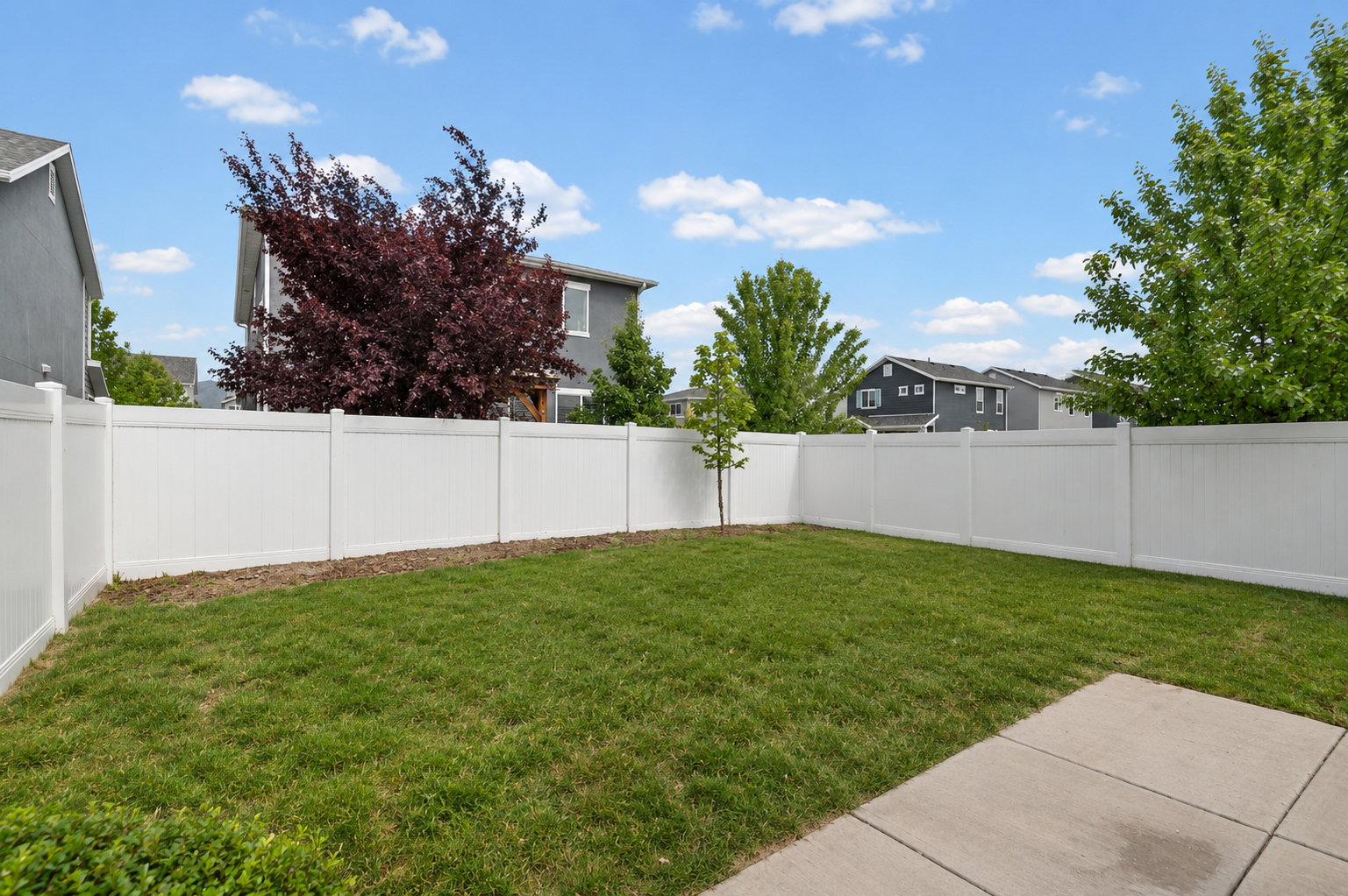 Expansive backyard featuring a manicured lawn, a young sapling, and a full perimeter white vinyl privacy fence