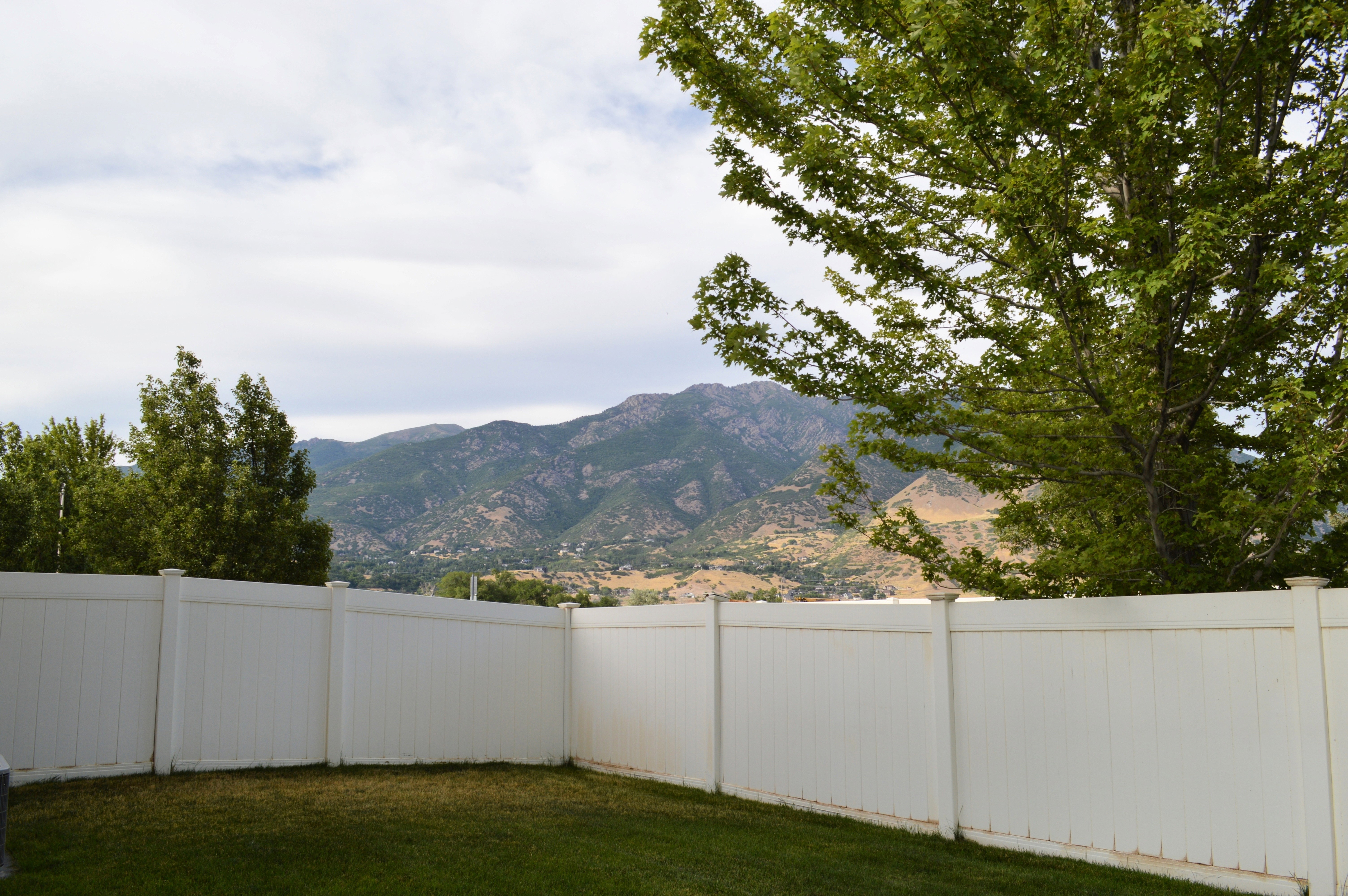 View from the backyard