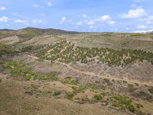 Expansive rural landscape featuring a dirt road traversing rolling hills, scattered green vegetation, and distant mountains with snow-capped peaks