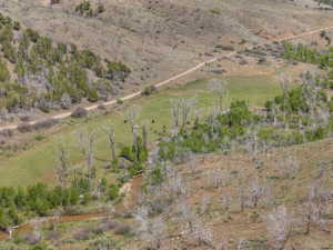 Expansive acreage featuring a winding dirt road, natural water feature, and varied terrain with both verdant and arid sections