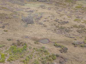 Expansive land parcel featuring natural ground cover and varied low-lying vegetation