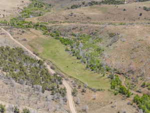 Expansive green pastureland with scattered trees, a winding dirt road, and gently sloping terrain