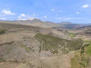 Expansive undeveloped land featuring varied terrain, a visible dirt road, and significant tree coverage