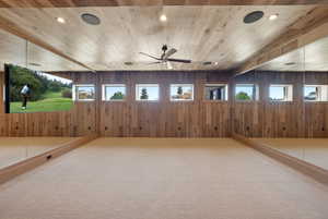 Wood-paneled room featuring a beige carpeted floor and an integrated wall-mounted television