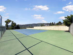 Private tennis court featuring a blue playing surface with white lines, green perimeter, and chain-link fencing