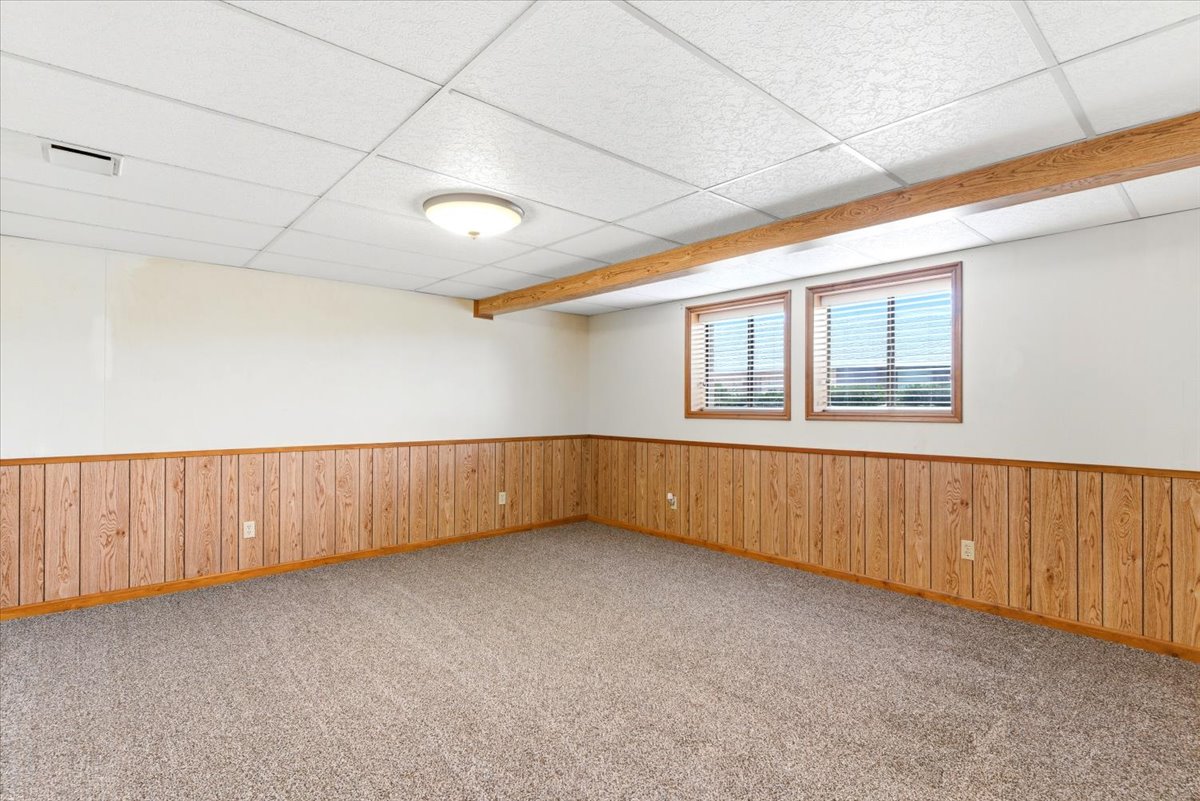 Finished room featuring two windows with blinds, wood-finish paneling, a drop ceiling with a central light fixture, and neutral carpeting