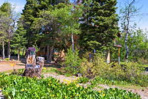 Wood-sided residence partially obscured by mature evergreen and deciduous trees