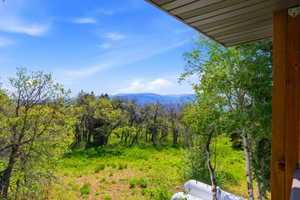 Expansive natural landscape featuring lush green foliage and distant mountain ranges under a clear blue sky