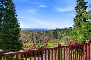 Expansive outdoor railing with flowering window boxes