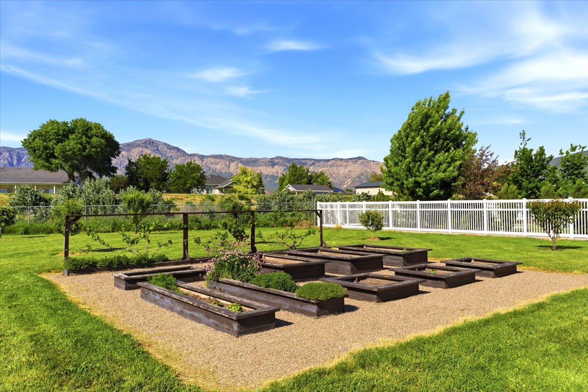 Manicured lawn with a gravel-based garden area featuring multiple raised garden beds, a trellis structure, and a white privacy fence