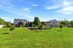 Expansive grassy area featuring multiple young trees and a raised garden bed