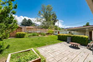 Expansive backyard featuring a paver patio and a large lawn
