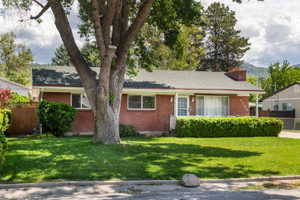 Brick ranch-style residence featuring a prominent mature tree, a covered entry, and a well-maintained lawn