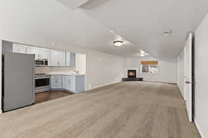 Family room lower level