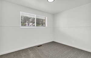 Room featuring a large window with blinds, paneling, neutral carpet, and a ceiling-mounted light fixture