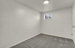 Neutral wall paint and grey carpeting define this room, featuring a single window and an overhead flush-mount light fixture